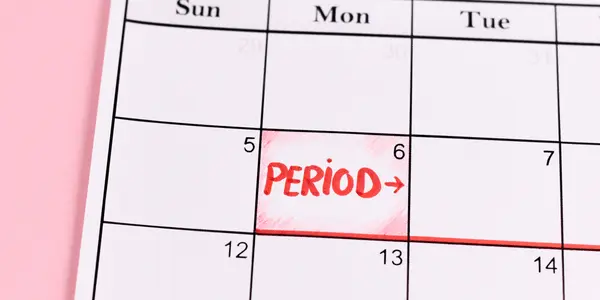 Why haven't i gotten my Period in 3 months but i'm not Pregnant 2024
